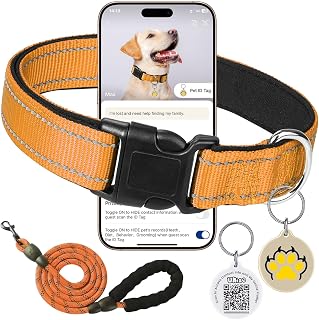 Reflective Dog Collar with Buckle Adjustable Nylon Dog Collars for Dogs,Orange,S with 5ft Leash and Anti-Lost ID Tag C16 Smart QR Code