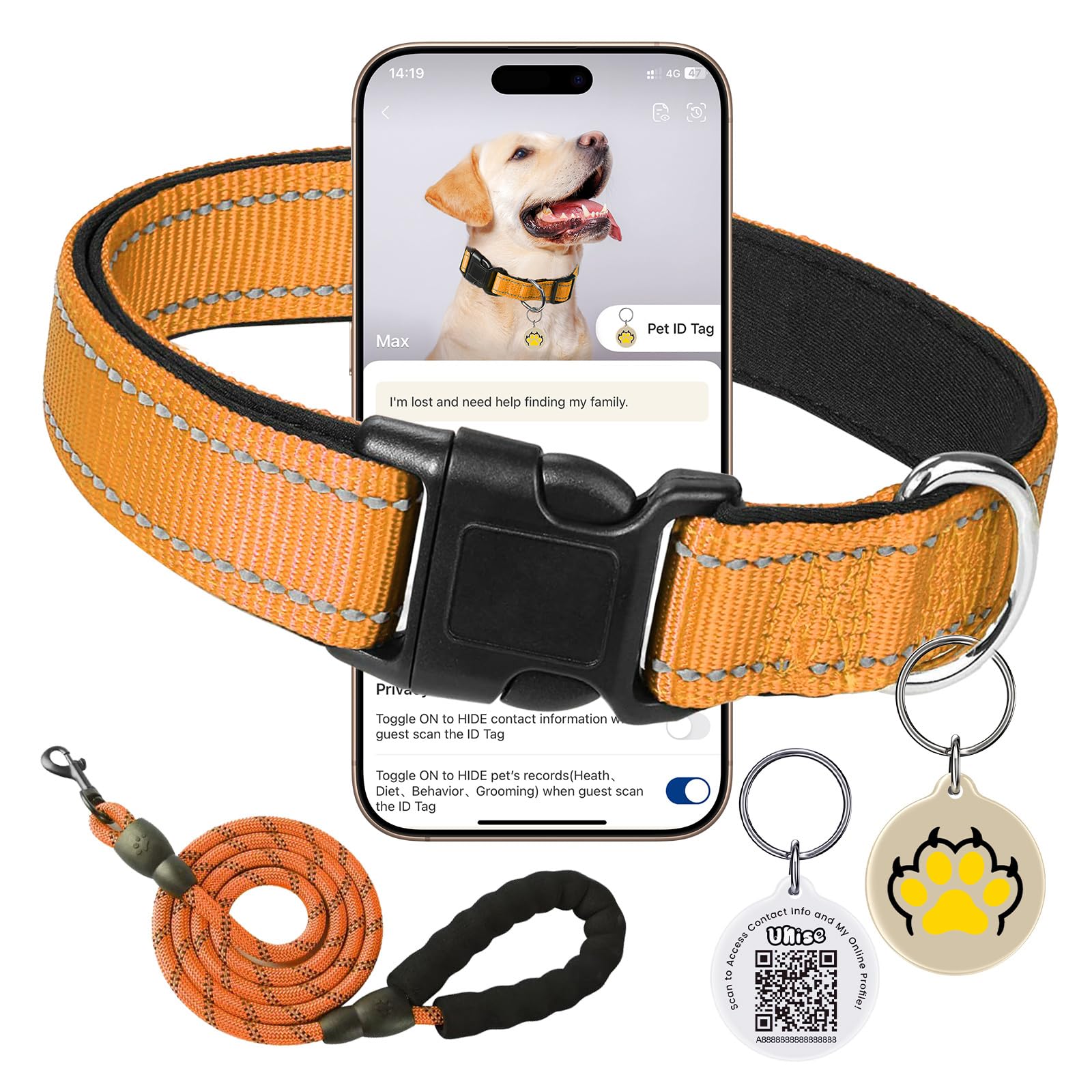 Reflective Dog Collar with Buckle Adjustable Nylon Dog Collars for Dogs,Orange,S