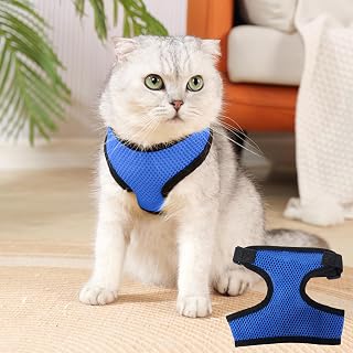 Comfortable Walking Harness and Leash Set - Adjustable No Pull Harness Essential for Small and Medium Puppies, Blue L