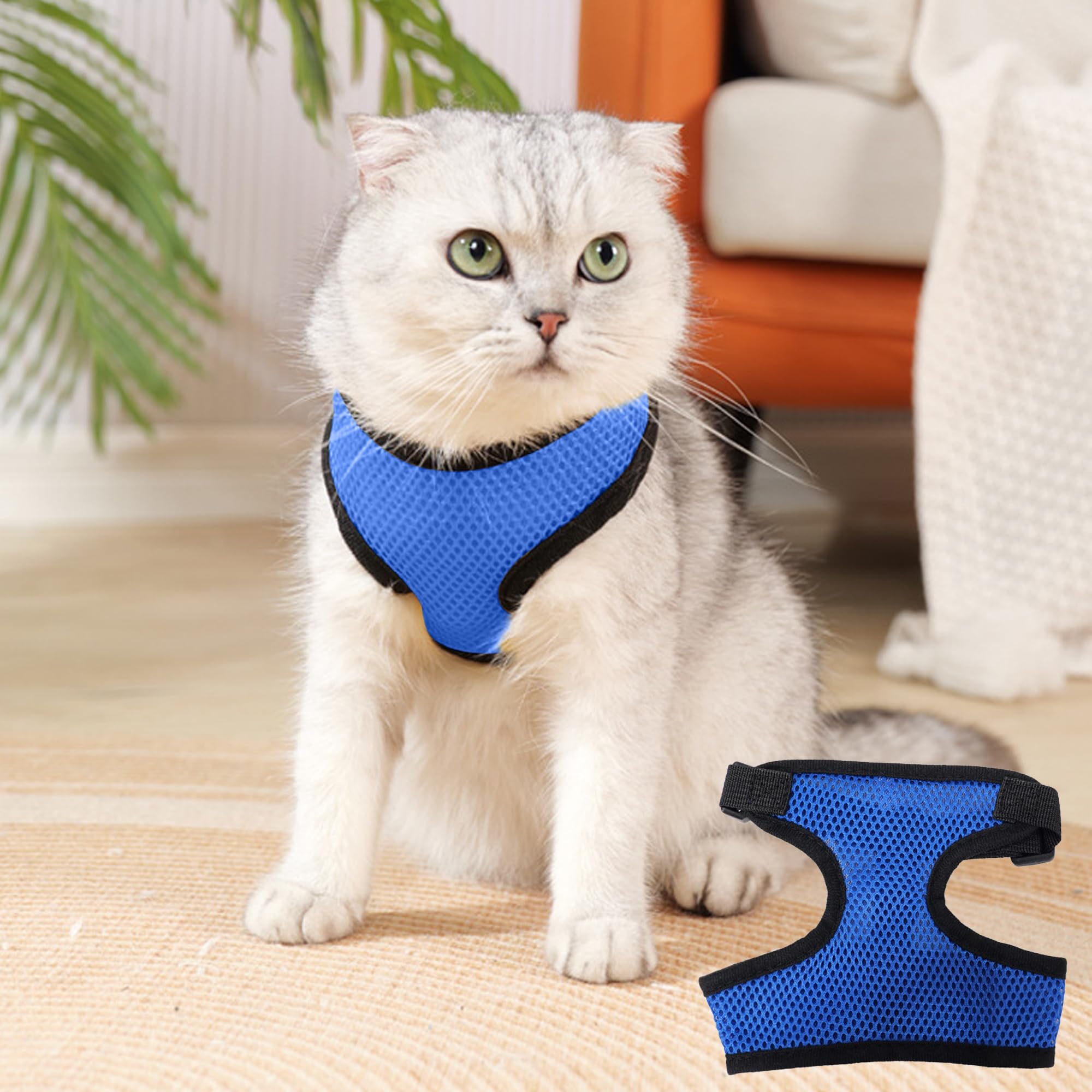 Comfortable Walking Harness and Leash Set - Adjustable No Pull Harness Essential