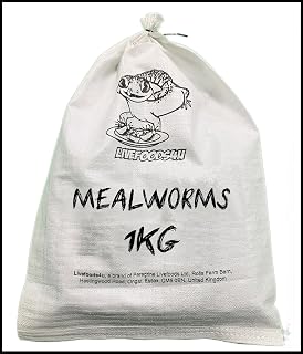 Livefoods4u Live Mealworms 1kg Bulk Bag 20-30mm | High Protein Reptile Food | WiId Birds