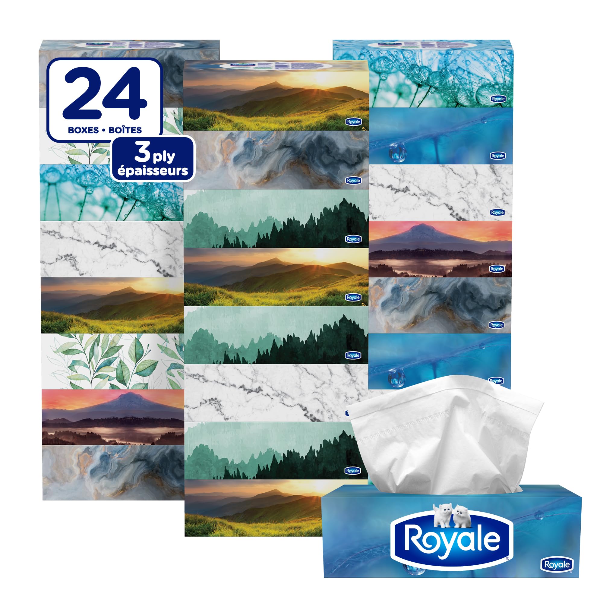 Royale Velour 3 Ply Facial Tissue, 24 Tissue Boxes, 72 Tissues per Box