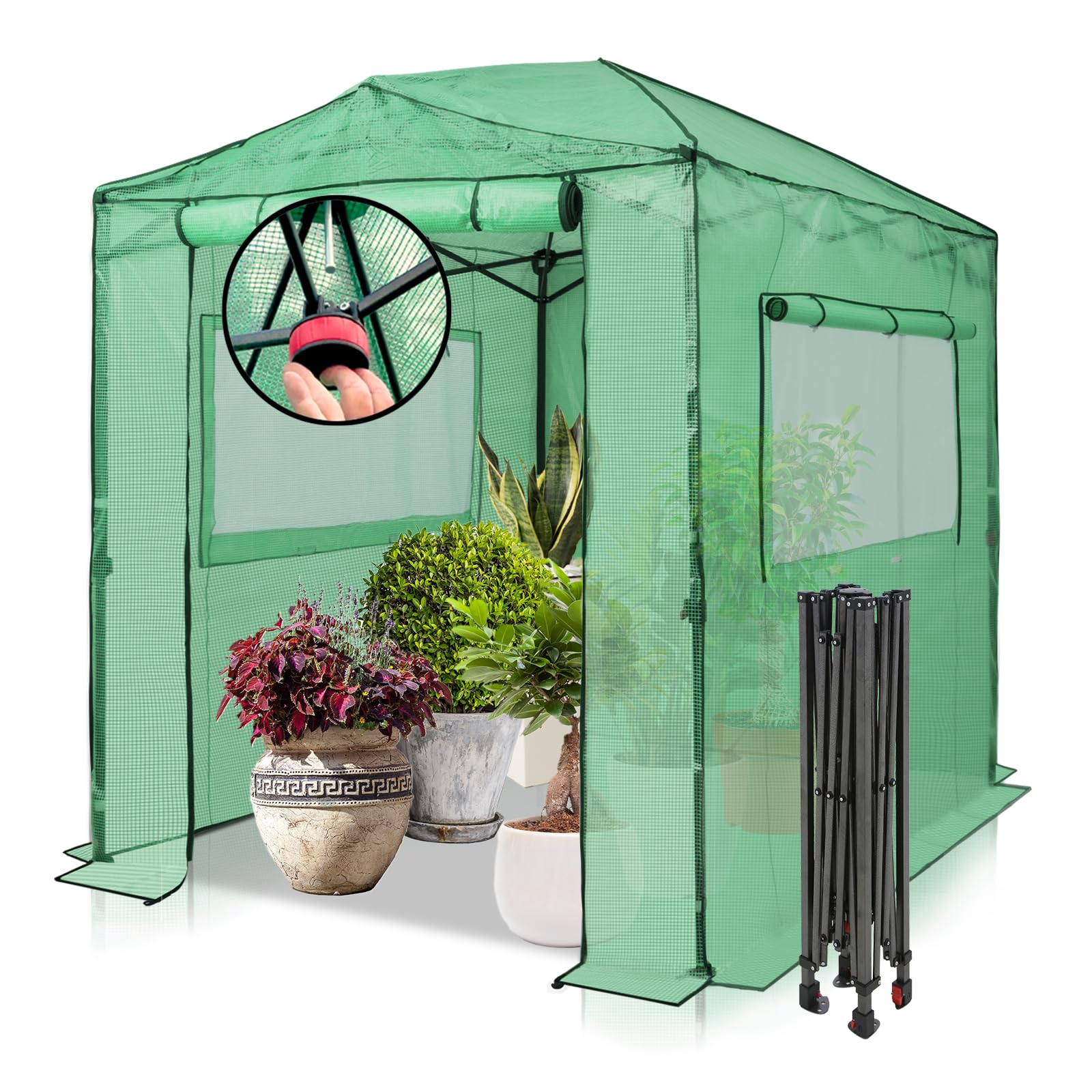 EAGLE PEAK 8x6 Easy Setup Pop Up Greenhouse, Clear/Green | Walk-In Greenhouses f