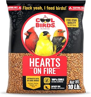 Cool Birds Hearts on Fire Hot Bird Seed, 10 lb | No waste bird food infused with spicy chili pepper oil that is undetectable to birds, not critters