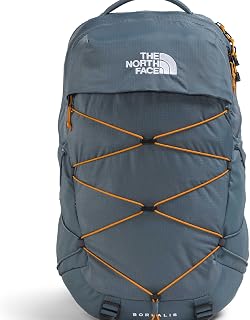 The North Face Unisex Borealis Classic Backpack (Pack of 1)