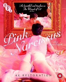 Pink Narcissus (Blu-ray)