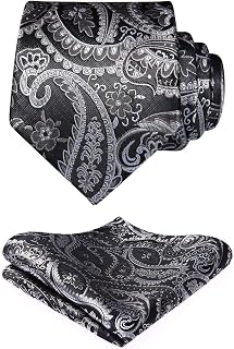 HISDERN Paisley Floral Men's Ties Modern Necktie and Pocket Square Matching Classic for Wedding Party Business