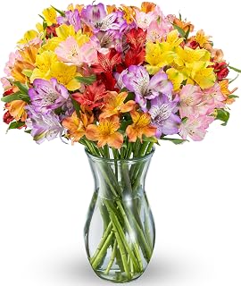 Benchmark Bouquets Alstroemeria Bouquet – Fresh Flowers for Delivery – Long Lasting Peruvian Lily Flowers for Mom – Mothers Day Gifts for Mom – Birthday & Get Well Flowers – Vase Included (20 Stems)