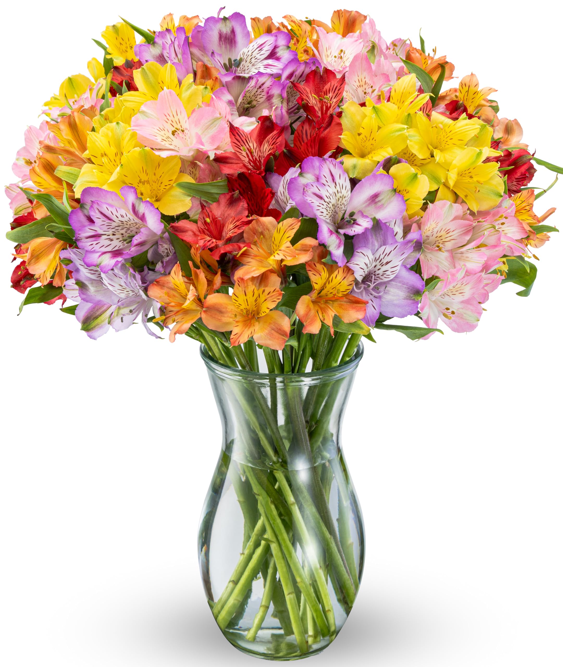 Benchmark Bouquets Alstroemeria Bouquet – Fresh Flowers for Delivery – Long Last