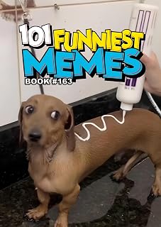 101 FUNNIEST MEMES : BOOK 163