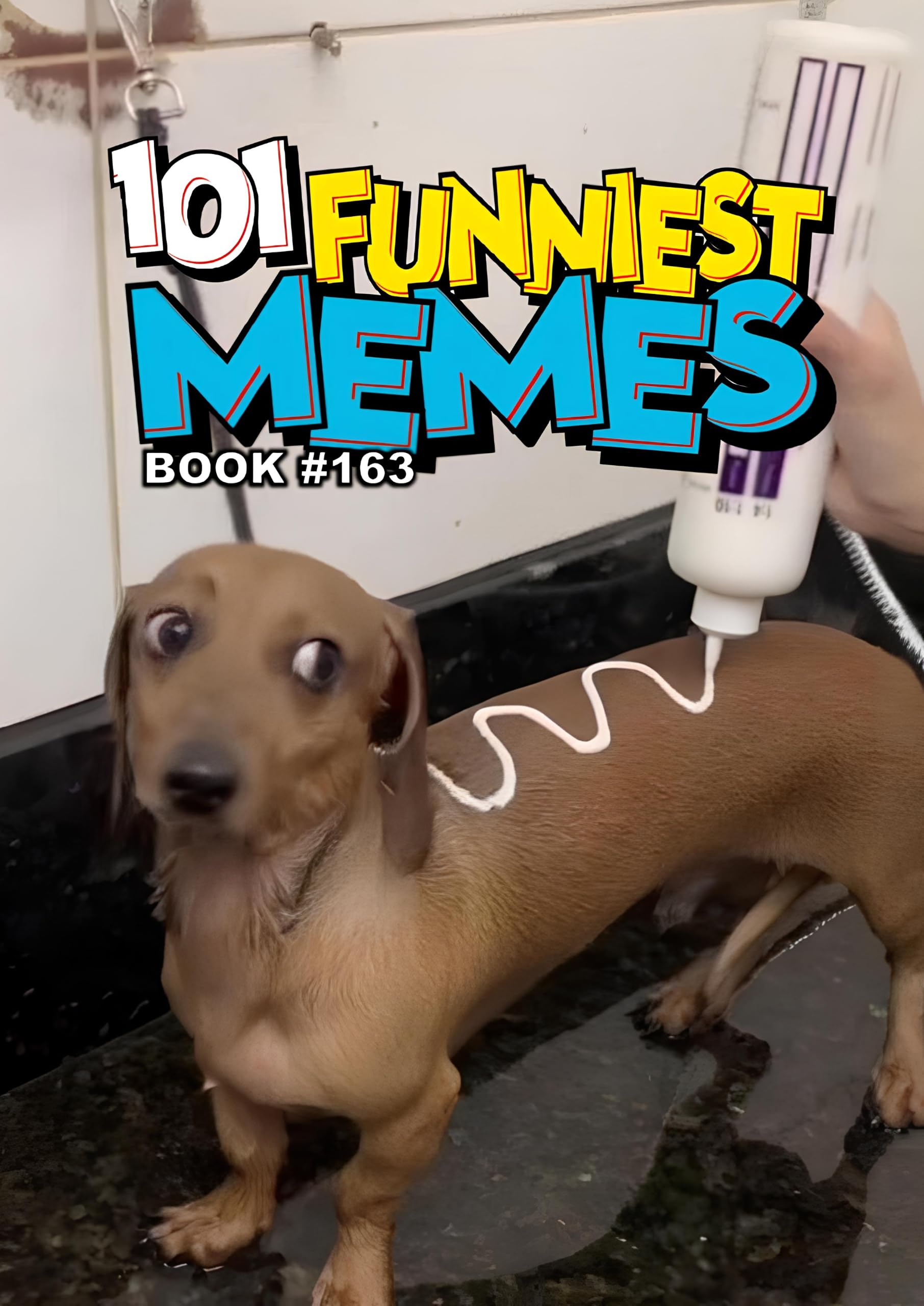 101 FUNNIEST MEMES : BOOK 163