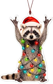Funny Christmas Ornaments, Racoon Christmas Ornament, Christmas Ornaments 2026, Raccoon Gifts for Women Animal Lovers, Animal Gifts for Friends, Coworker, Raccoon Ornament Christmas Decorations