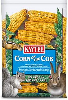 Kaytee Corn on the Cob for Wildlife Feeding, Squirrels & Deer, 6.5 lb | Helps spare bird food. Whole corn cob for backyard wildlife. Whole corn, ground or feeder use, no added ingredients