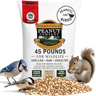 Wakefield Virginia Peanuts for Birds Shelled Raw Unsalted 45LB