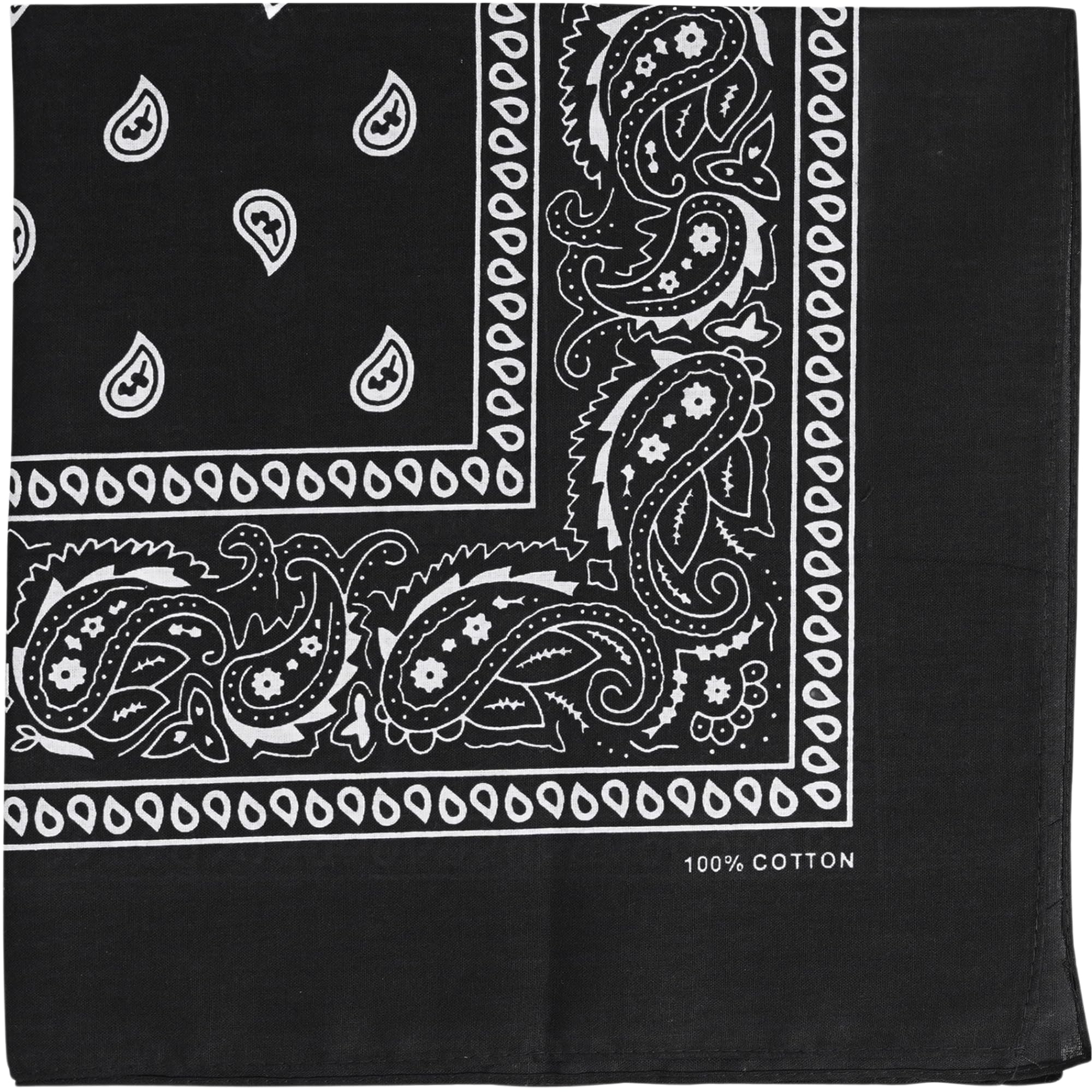 Raylarnia 100% Cotton Bandanas, 22" Paisley Bandana Headbands for Men Women | Mu