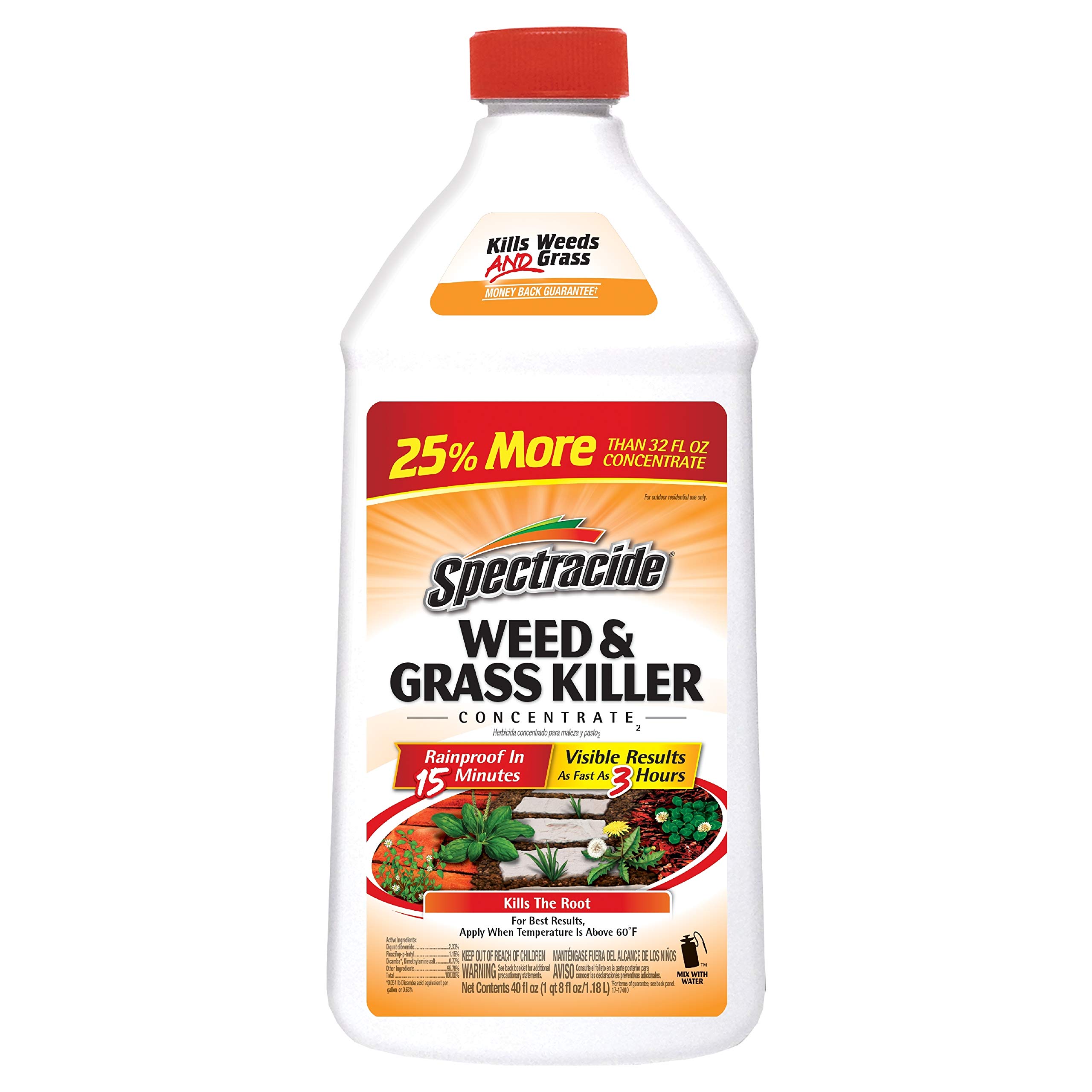 Spectracide Weed & Grass Killer Concentrate for Driveways & Walkways, 40 Oz | Ki