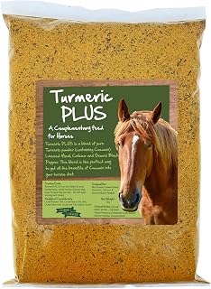 Horse Herbs Turmeric PLUS 1kg Bag | Natural Feed Supplement for Horses & Ponies, Black Pepper, Micronised Linseed, Equine Care, Pony Boost