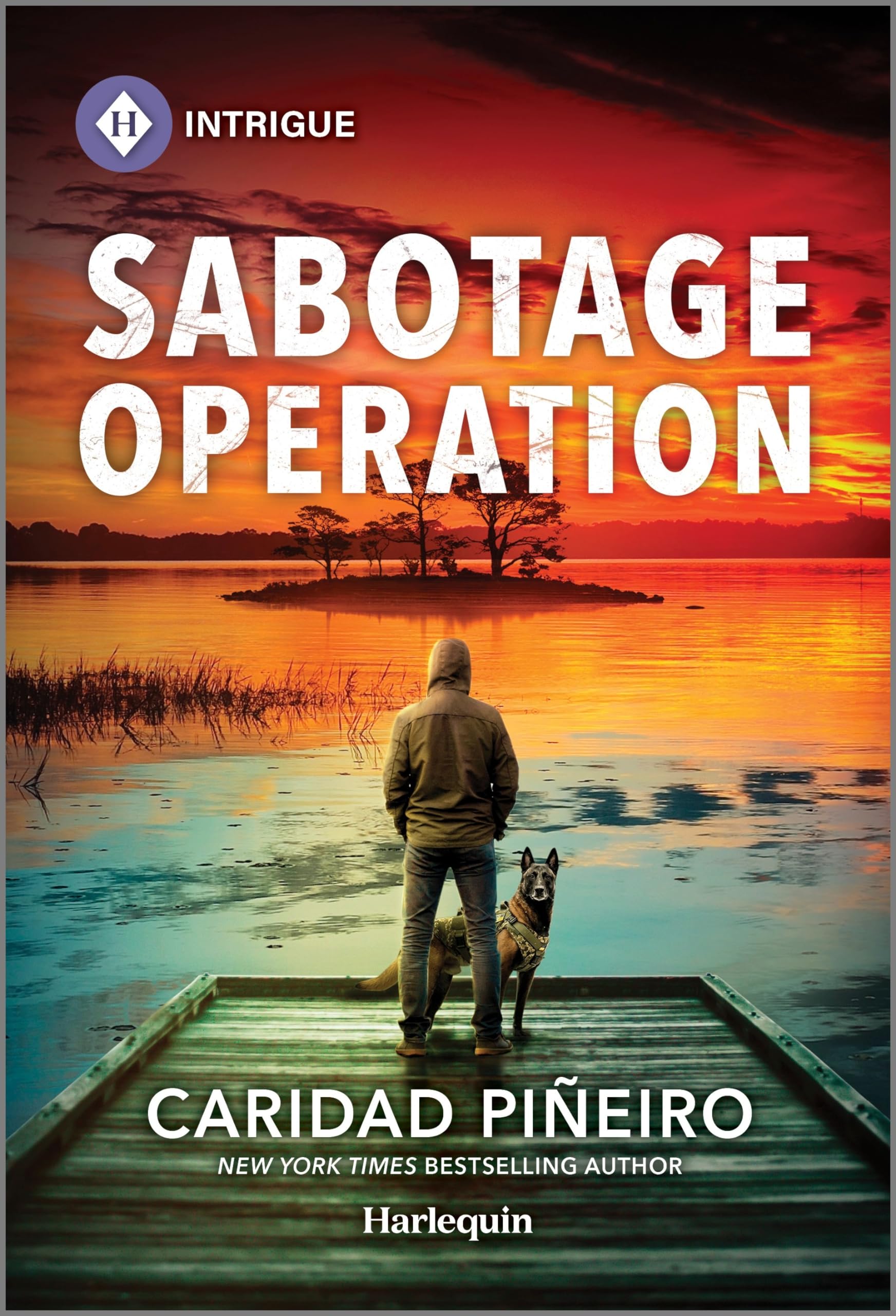 Sabotage Operation: A Thrilling K-9 Romantic Suspense Book (South Beach Security