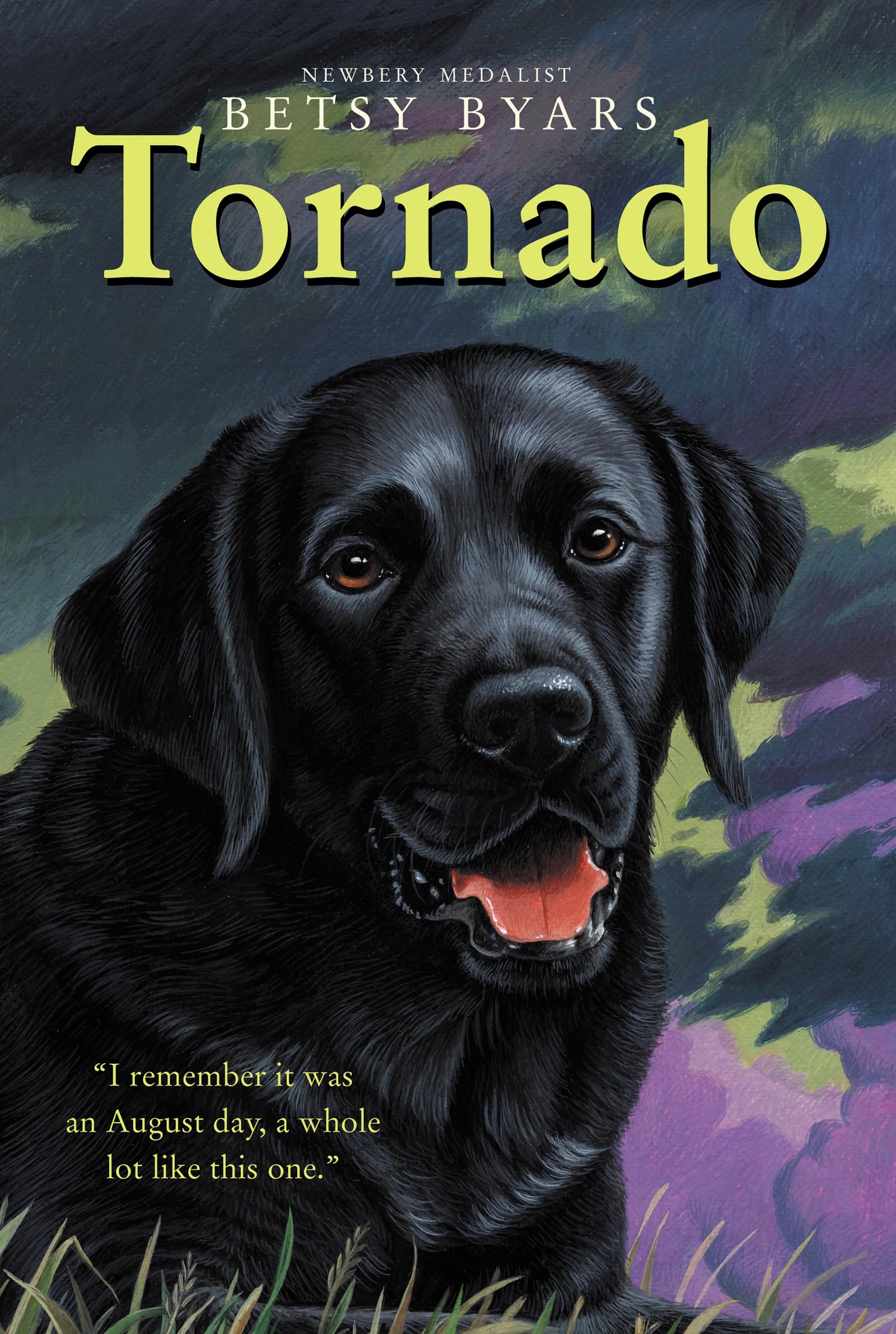Tornado: A Classic Children's Chapter Book of Adventure and Canine Friendship fo