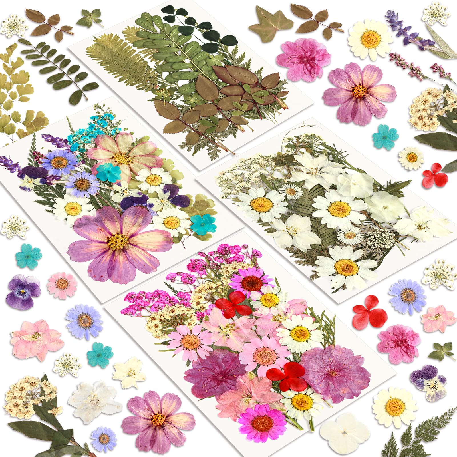 Dried Flowers, Resiners 100Pcs Pressed Flowers for Craft | Real Natural Dried Fl