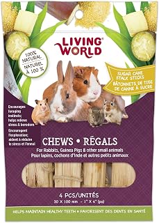 Living World Small Animal Chews - Sugarcane Stalk Sticks - 4 Pieces