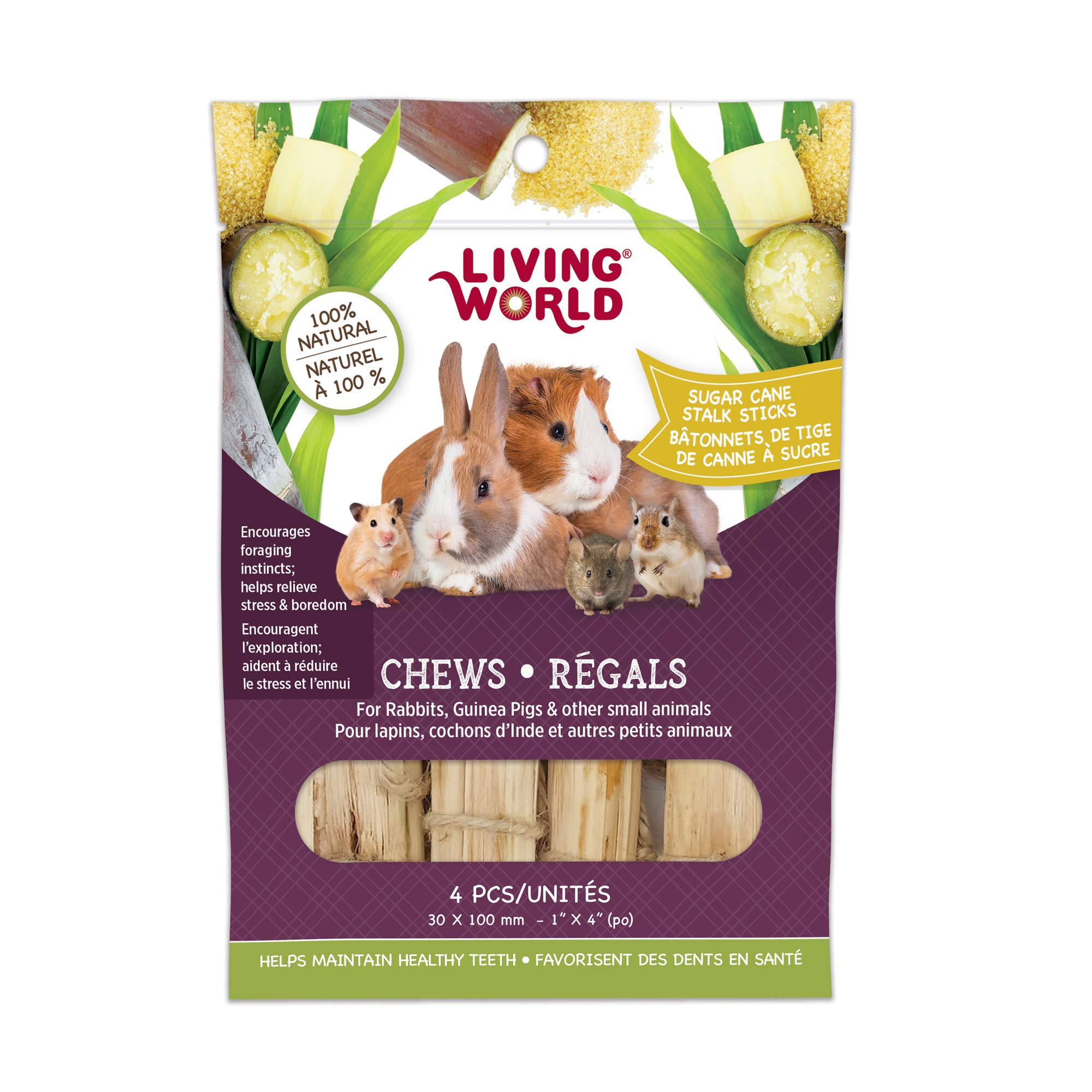 Living World Small Animal Chews - Sugarcane Stalk Sticks - 4 Pieces