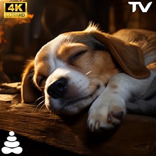 Dog Calm: Sleep Music & Relaxing Screensaver for Puppies TV