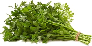 Natures Reward Italian Parsley, 1 EA
