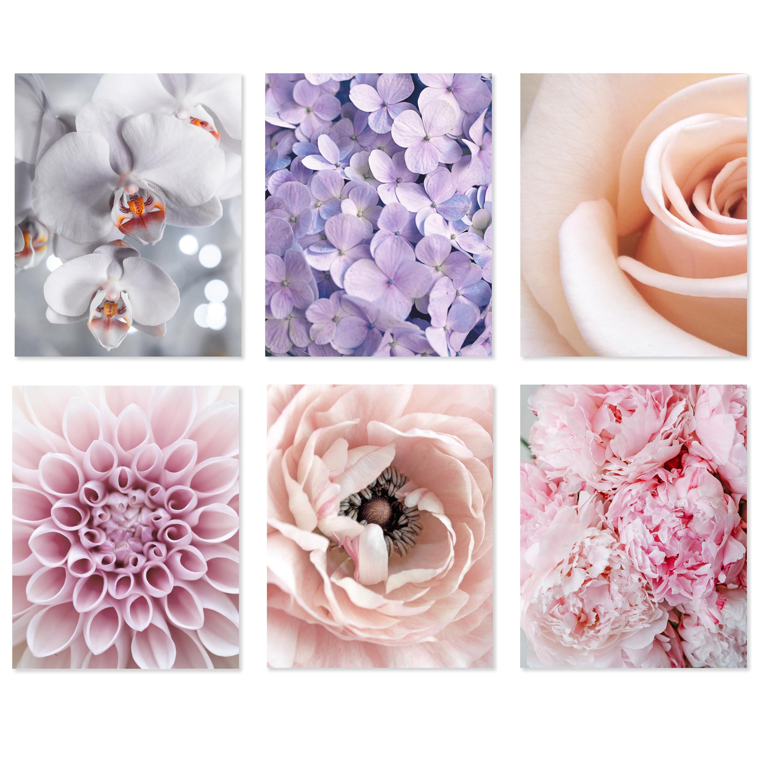 Poster Champs Pastel Floral Wall Art - Botanical Prints Featuring Orchid, Rose, 