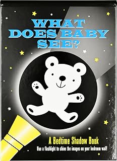What Does Baby See? Bedtime Shadow Book