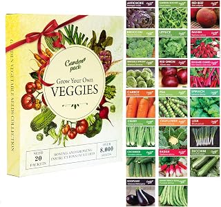 Garden Pack Grow Your Own Vegetable Seeds - 20 Packets Variety – High Yield Seeds for Growing Veggies at Home – 8,000 Heirloom Seeds Gardening Gifts