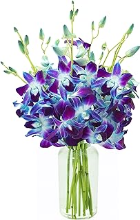 KaBloom-10 Blue Orchid Bouquet,Flowers for Valentine, Mother's Day