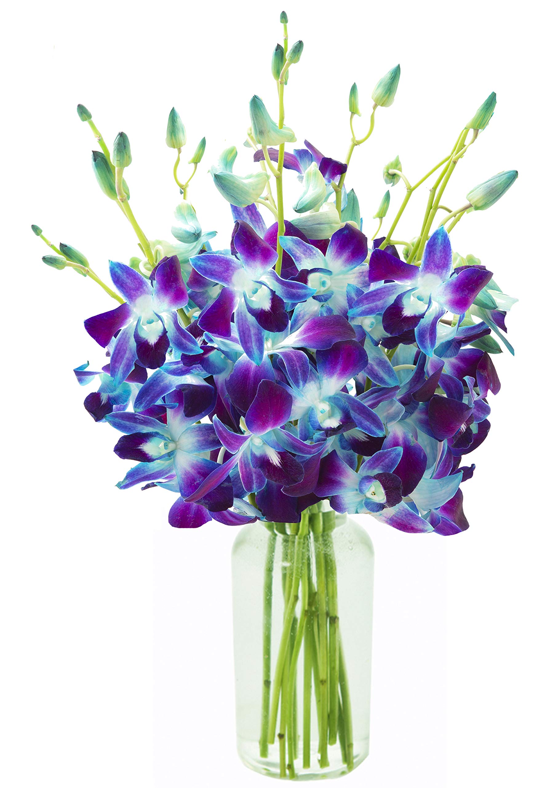KaBloom-10 Blue Orchid Bouquet,Flowers for Valentine, Mother's Day