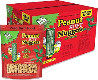 C&S Wild Bird Peanut Suet Nuggets Mega Box, 8 lb | Suet nuggets for wild birds, no melt suet fed alone or mixed with 5-10 lbs of seed