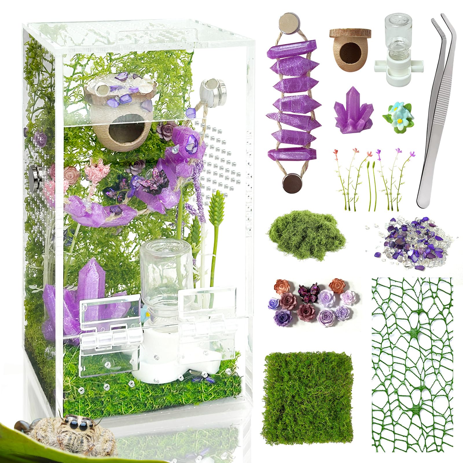 Jumping Spider Enclosure,DIY Insects Habitat,Small Reptile Terrarium Glass House