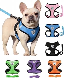 Small Cat Dog Harness - All Weather Mesh, Reflective, 4' Traction Rope, No Pull Harness for Small Dogs and Cats - Hook and Loop Fasteners for Secure, Buckle, Double D-Rings, XL, Blue