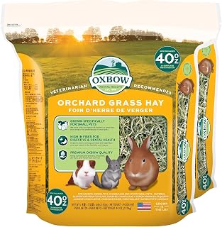 Oxbow Orchard Grass Hay for Small Pets – All-Natural Long Strand Fiber Hay for Rabbits,Guinea Pigs,Chinchillas,and Hamsters – Supports Digestive Health and Enrichment-– 40 oz Bag,(Pack of 2)
