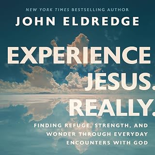Experience Jesus. Really: Finding Refuge, Strength, and Wonder through Everyday Encounters with God