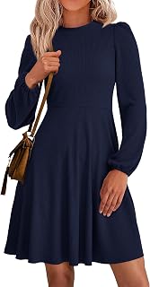 PRETTYGARDEN Womens A Line Long Sleeve Mini Dress