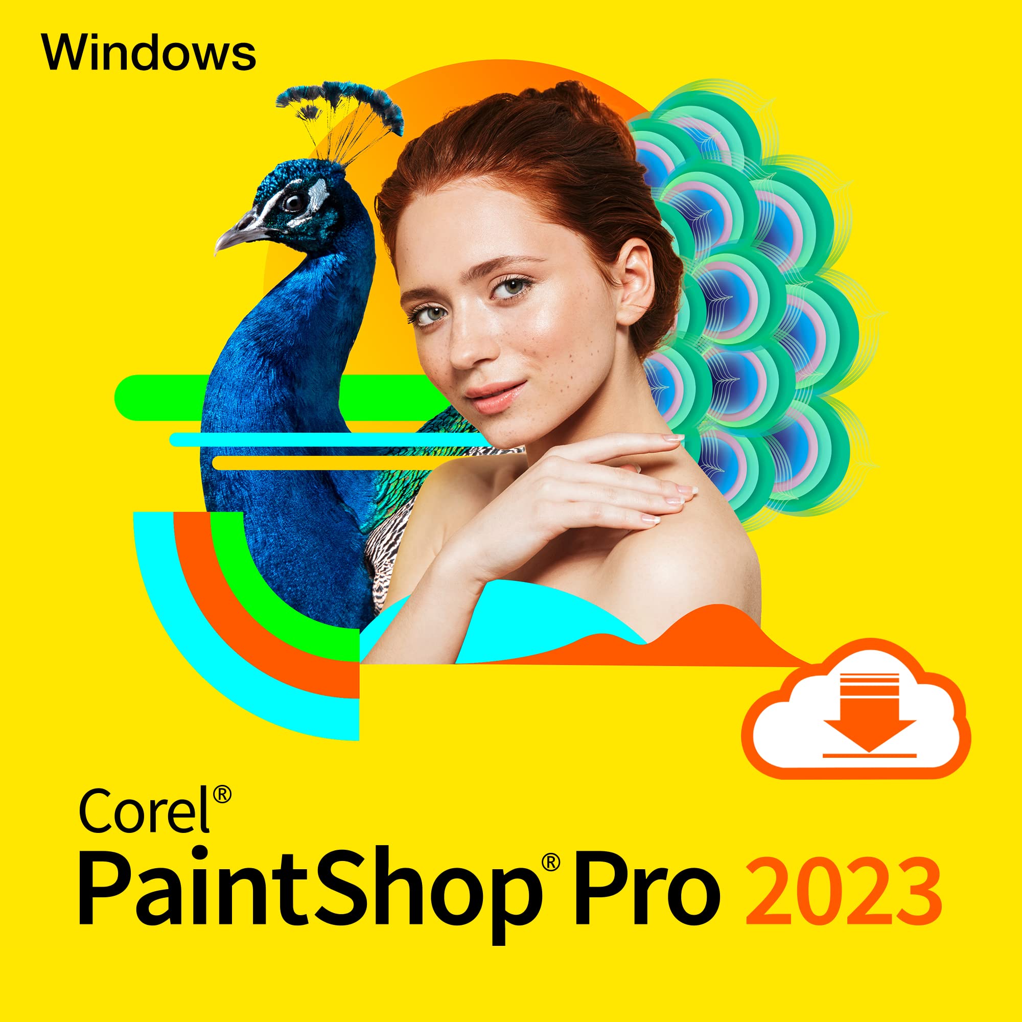 Corel PaintShop Pro Standard, Photo Editing & Graphic Design, Digital download
