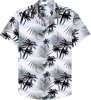 Alimens & Gentle Men's Classic Button Down Shirt (Pack of 1)