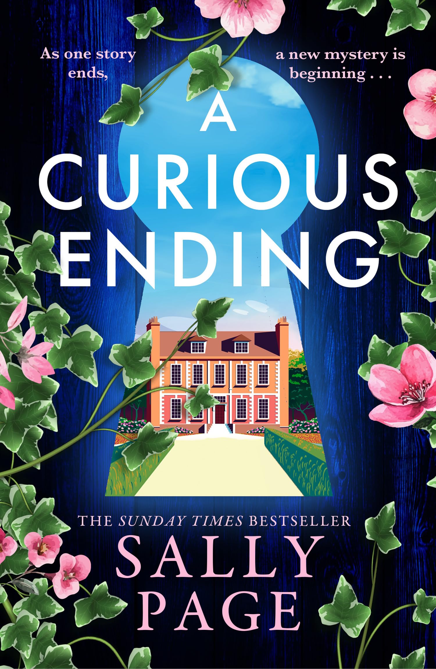 A Curious Ending: The brand new novel for 2026 from the Sunday Times bestselling