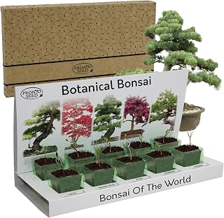 Pronto Seed Grow Your Own Bonsai Tree Kit - 5 Varieties | Indoor Japanese bonsai growing set. Unique beginner-friendly gift for Christmas & Birthdays.