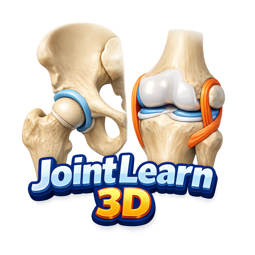 JointLearn 3D