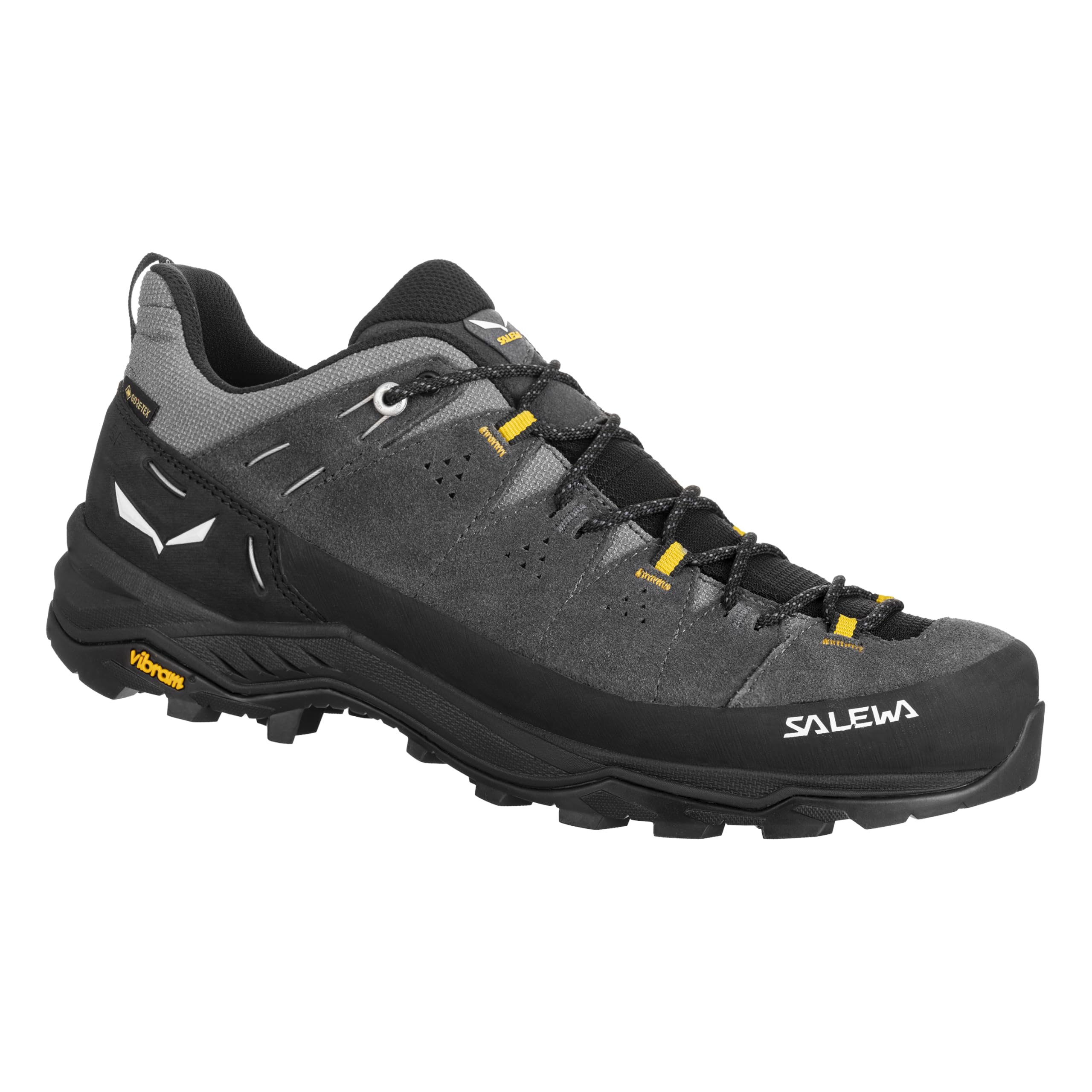Salewa メンズ アルプ トレーナー 2 ゴアテックス 防水 GTX ハイキングシューズ