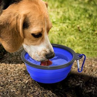 Dog Bowl Pet Bowl Foldable Travel Bowl 2 Pack Cat Dog Pet Bowl BPA Free Portable with 2 Carabiners for Travel, Camping, Walking