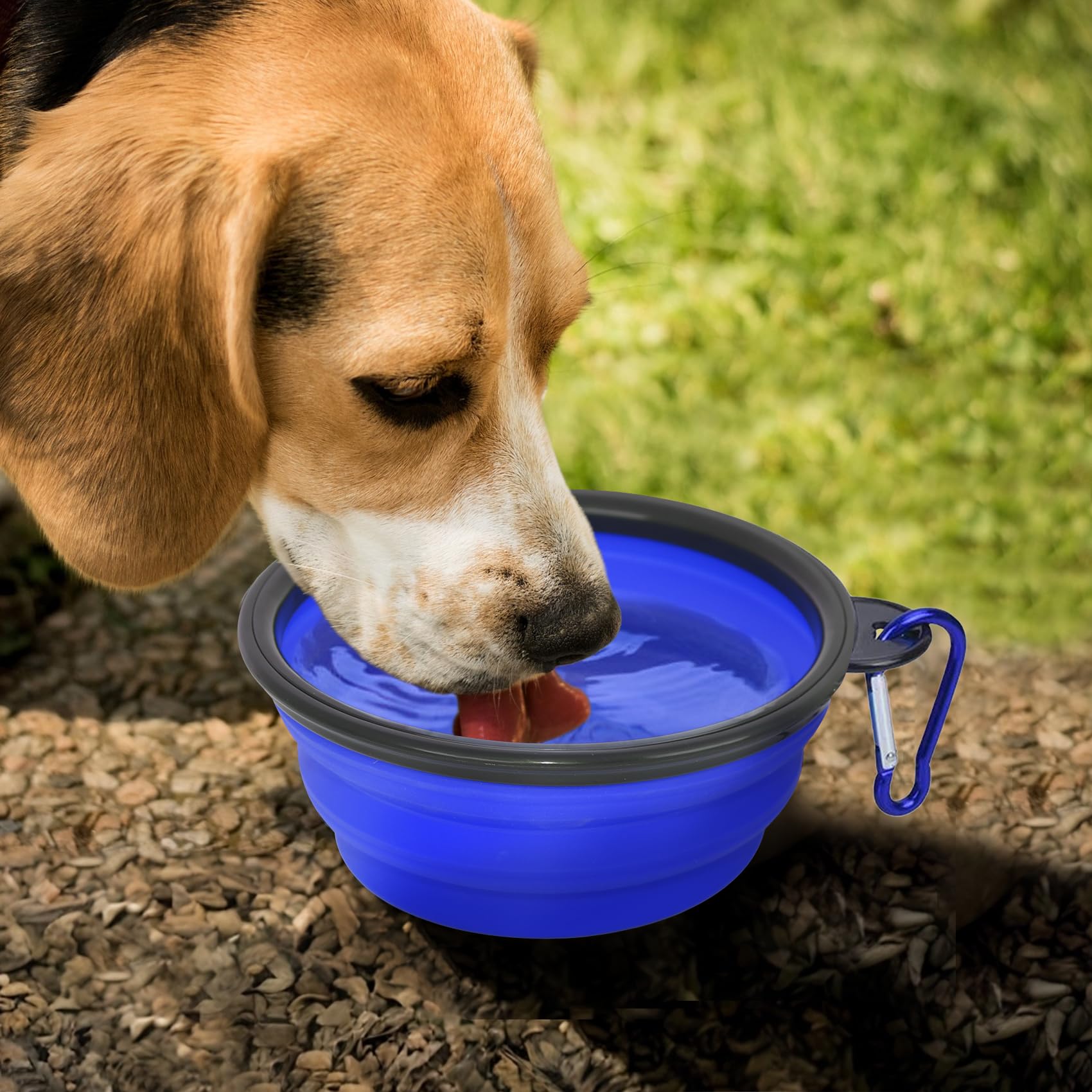 Dog Bowl Pet Bowl Foldable Travel Bowl 2 Pack Cat Dog Pet Bowl BPA Free Portable