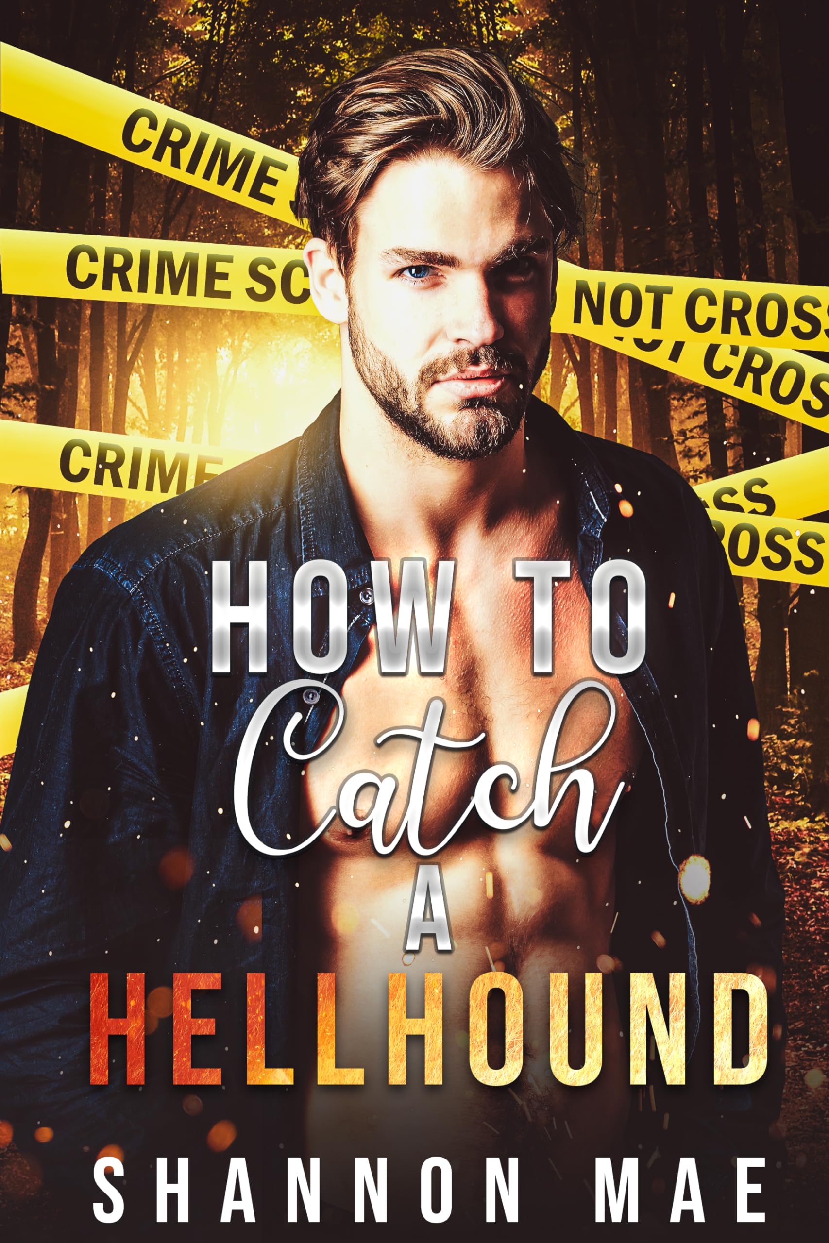 How to Catch a Hellhound (Hellhounds of Paradise Falls Book 6)