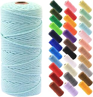 Macrame Rope 0.12 inch x 100 m Braided Rope for DIY Crafts Macrame Craft Making Plant Hanging Wall Hooks (Light Blue)