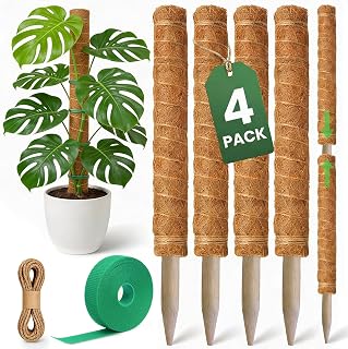 4 Pack 16" Moss Pole Monstera Plant Support - Stackable up to 48" | Plant Stakes for Indoor Climbing Plants Potted - Tall Coco Coir Pole Sticks & Accessories for Monstera, Pothos & Philodendron